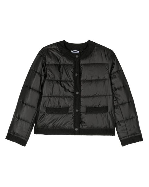 Aspesi Black Collarless Puffer Jacket
