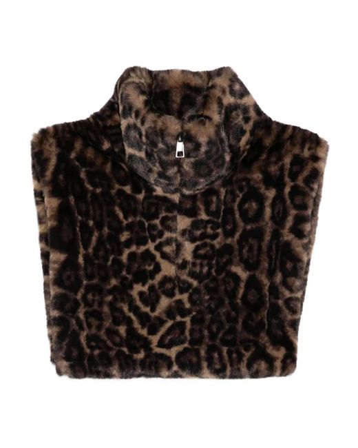 Apparis Black Jamie Leopard Dickey