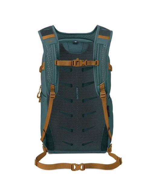 Osprey Green Daylite Plus Backpack for men