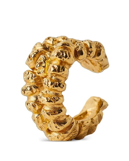 Paola Sighinolfi Metallic Talisman Ear Cuff