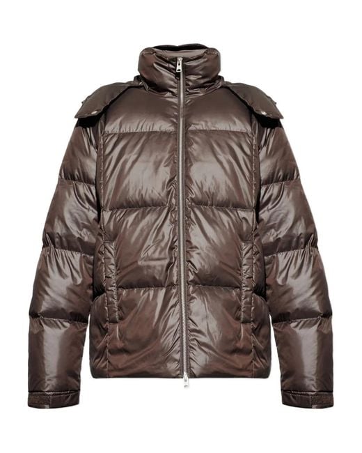 AllSaints Brown Lupin Padded Jacket for men