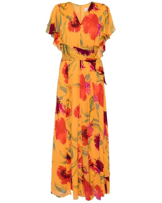 Diane von Furstenberg Bleuet Floral-print Chiffon Maxi Dress Orange