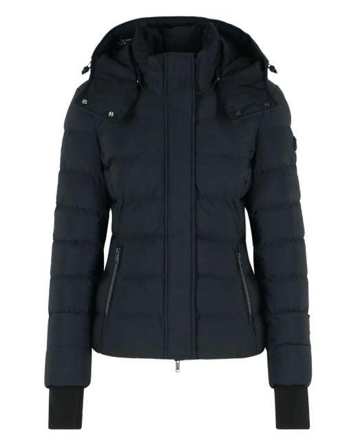 Moose Knuckles Donsjack Met Capuchon in het Black