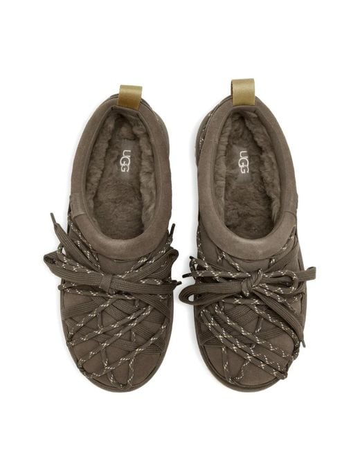 Ugg Gray W Tasman Lace