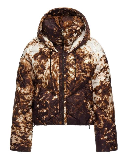 Roberto Cavalli Brown Appaloosa-Print Puffer Jacket