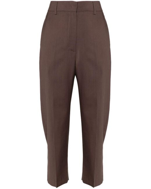 Pantalon Luccio Tropical Barena en coloris Brown