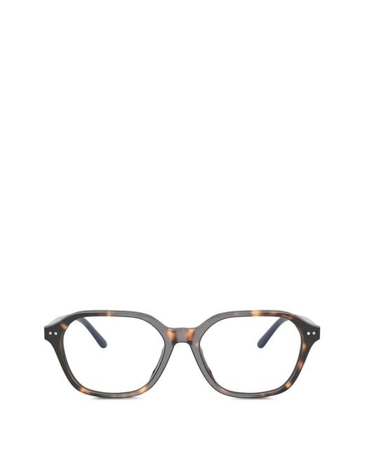 Polo Ralph Lauren Brown Tortoiseshell-Effect Glasses for men