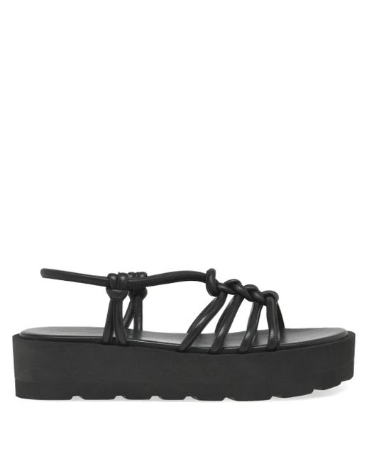 Gianvito Rossi Hebe サンダル Black