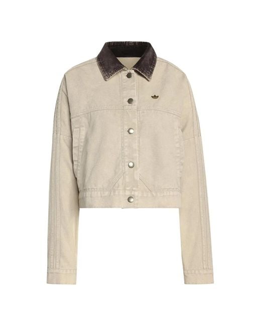 Adidas Natural Corduroy Collar Jacket