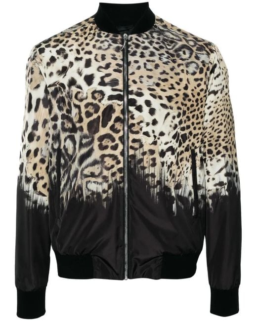 Roberto Cavalli Black Tiger Tooth-Detailed Leopard-Print Bomber Jacket for men