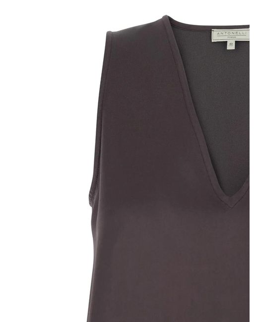 Antonelli Purple Blouse À Col V