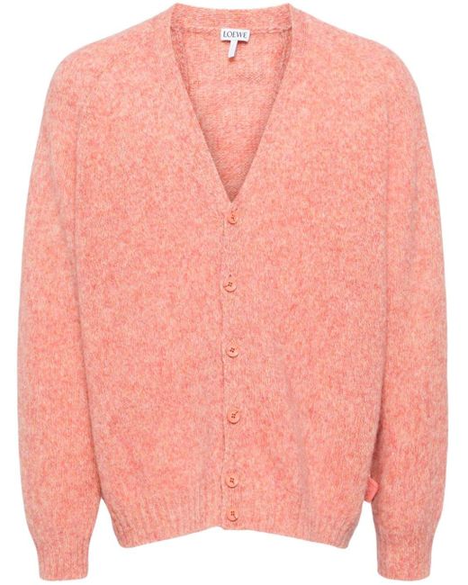 Cardigan bicolore di Loewe in Pink da Uomo