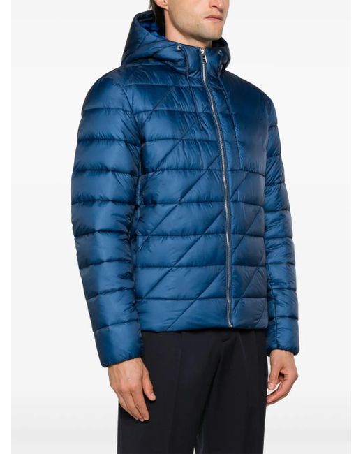 Boss Blue Padded Jacket for men