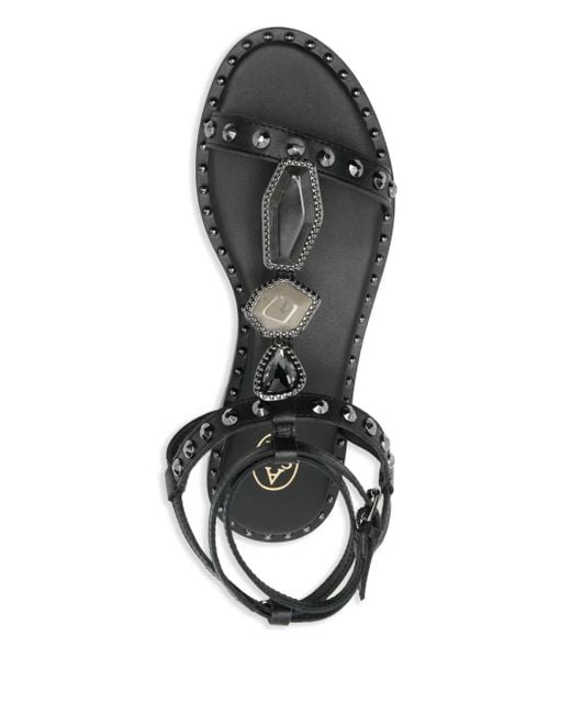 Ash Black Calf Sandals With Studs