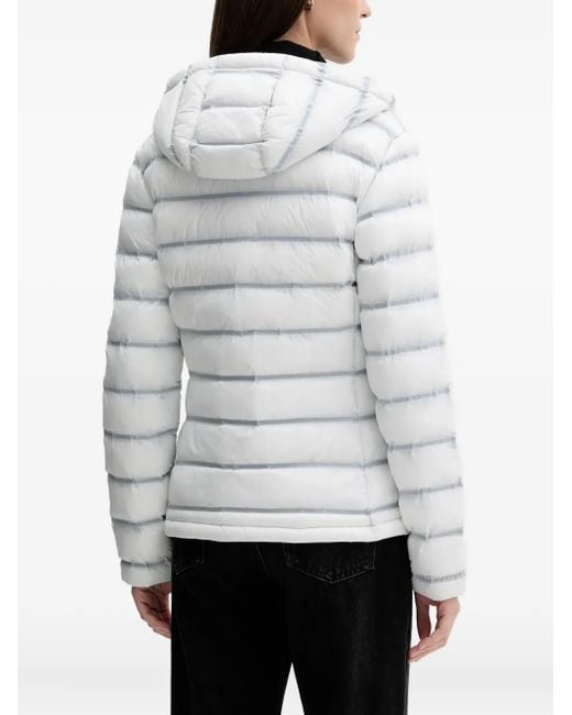 Blauer White Ellis Hooded Jacket