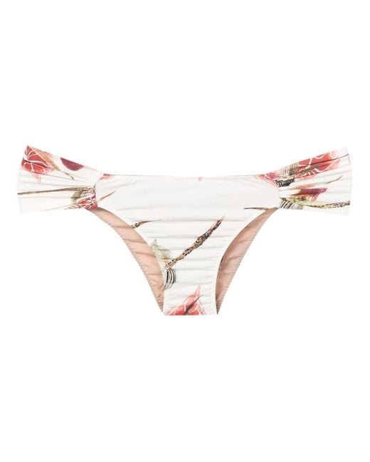 Clube Bossa Natural Percy Floral-Print Bikini Bottoms