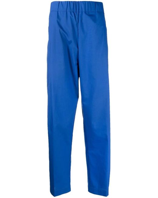 Laneus Blue Straight-Leg Cotton Trousers for men