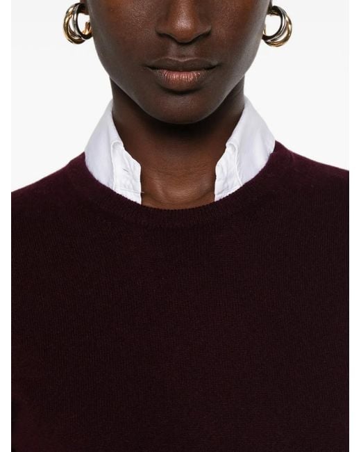 Bompard Purple Crew-Neck Sweater
