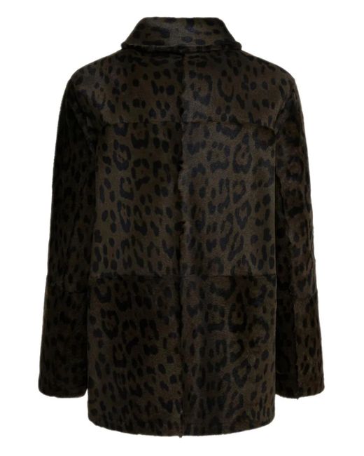 FURLING BY GIANI Black Leopard Pockets Coat