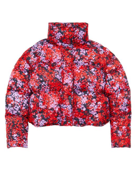 Bimba Y Lola Leomimosa ダウンジャケット Red