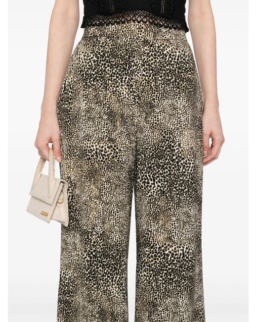 Elie Saab Brown Printed Palazzo Pants