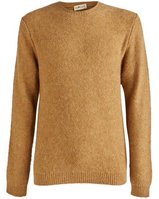 Irish Crone Brown Crew-Neck Sweater for men