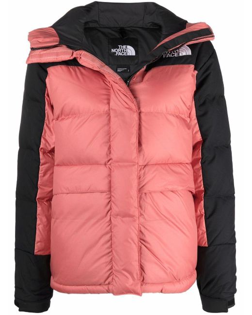The North Face Pink Panelled Hooded Down Jacket