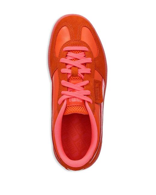 PUMA Red Baskets Citrus