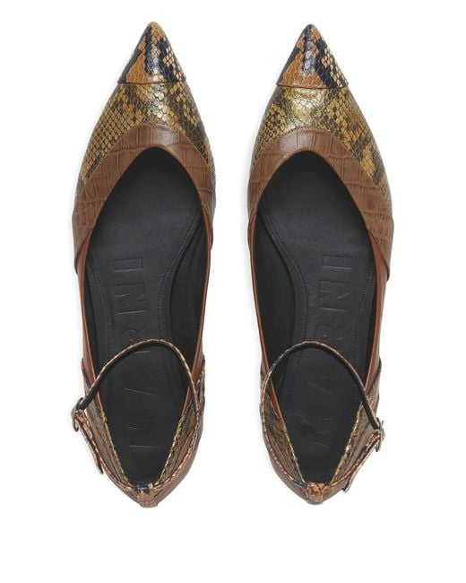 Marni Brown Pointed-Toe Ballet Flats With Ankle Strap
