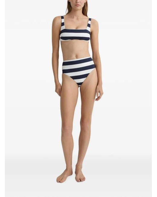 Bondi Born Blue Aria Striped Bikini Top