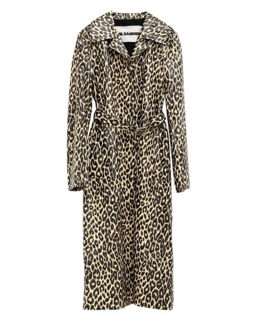 Abrigo con estampado de leopardo y botones Jil Sander de color Black