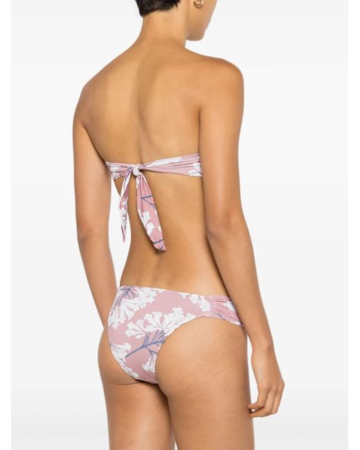 Clube Bossa Pink Venet Bikinioberteil Mit Blumen-Print