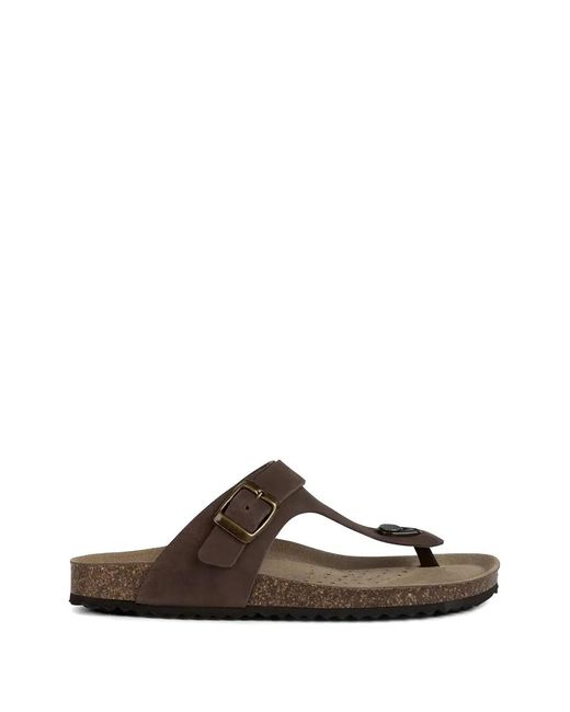Geox Brown Buckle-Fastening Thong Flip Flops