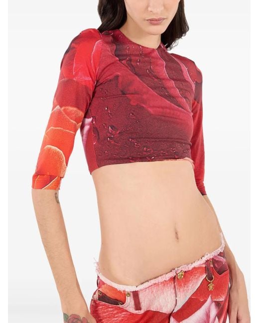Roberto Cavalli ローズプリント Tシャツ Red