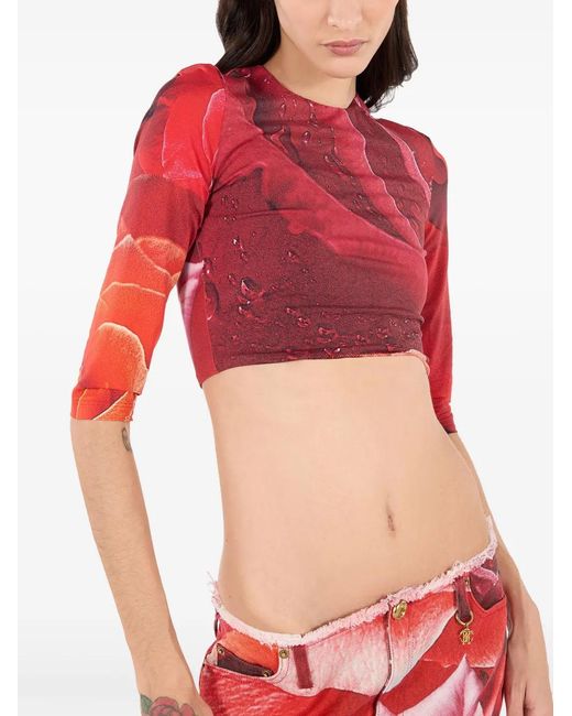 Roberto Cavalli Red Rose-Print T-Shirt