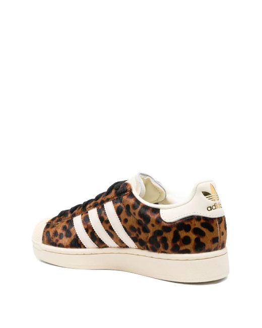 Adidas Brown Sneakers