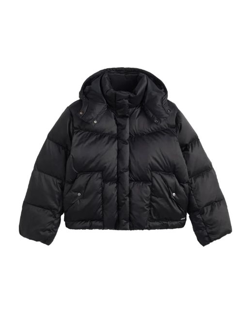 Levi's Black Hooded Bubble Jacket