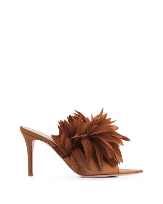 Gianvito Rossi Brown Daniah Mules
