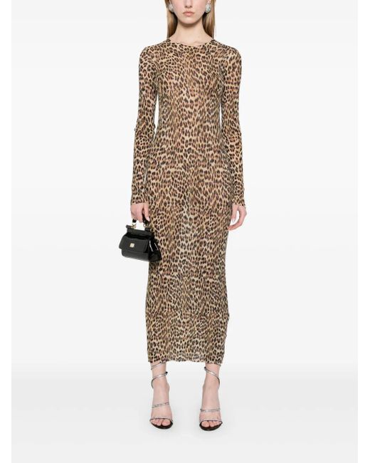 Blumarine Natural Leopard-Print Knit Midi Dress