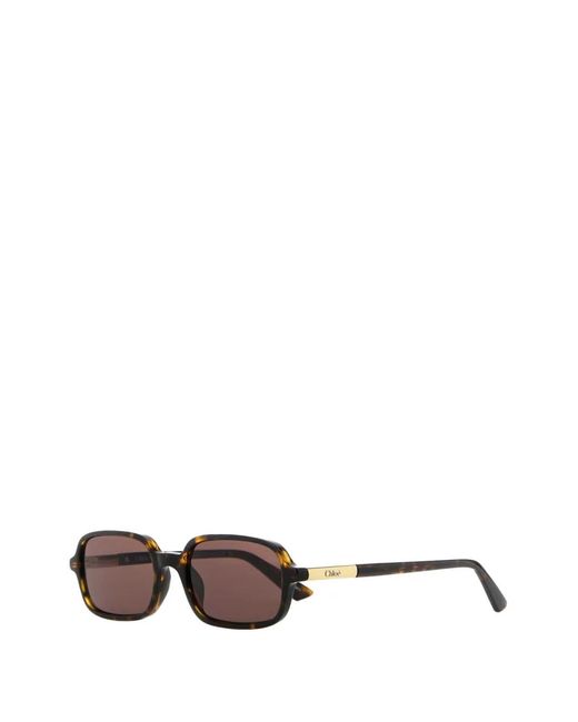 Chloé Brown Judy Sunglasses