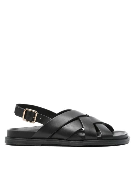 Sandali Adelash di Geox in Black