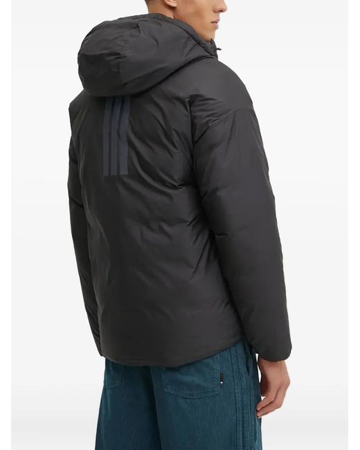 Adidas Blue Three-Stripe Detail Padded Jacket for men