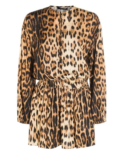 Roberto Cavalli Natural Leopard-Print Long-Sleeve Dress