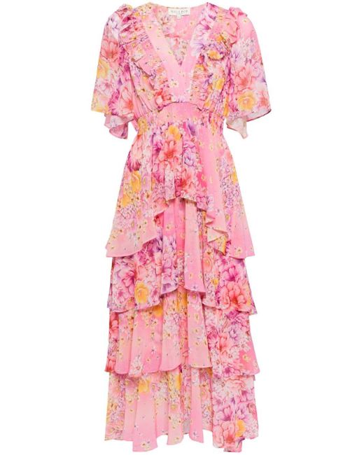 Hale Bob Pink Freya Floral-print Midi Dress