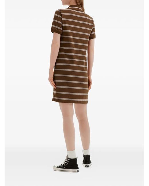 Chocoolate Brown Striped Polo Dress