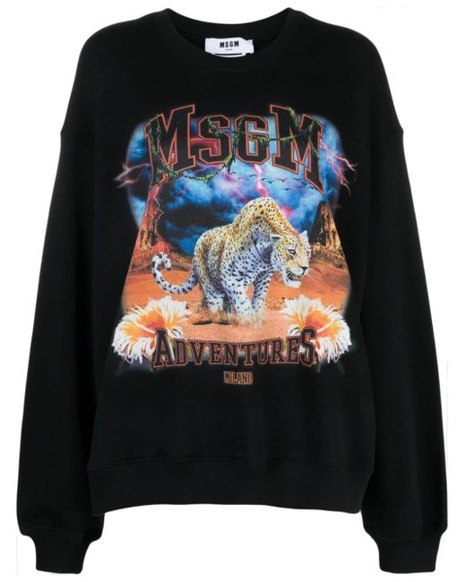 MSGM Black Graphic-print Cotton Sweatshirt