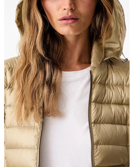 ARMANI EXCHANGE Natural Quilted Hooded Jacket