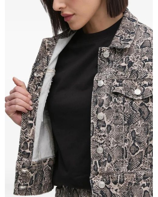 Joop! Gray Snake-print Denim Jacket