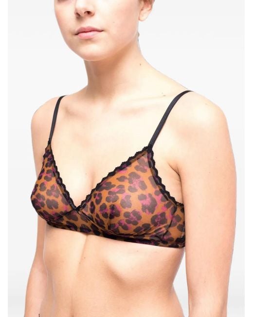 Laura Urbinati Brown Leopard-Print Triangle Bra