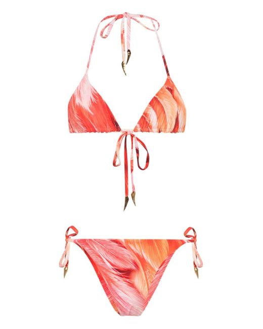 Roberto Cavalli Red Tiger Tooth-detailed Feather-print Bikini